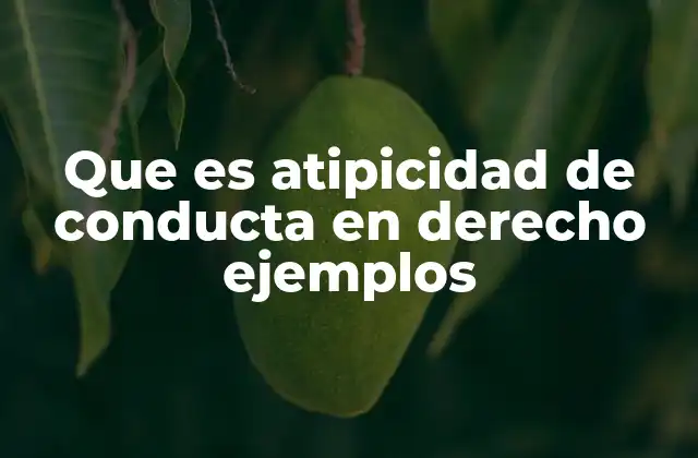 Que es Atipicidad de Conducta en Derecho Ejemplos