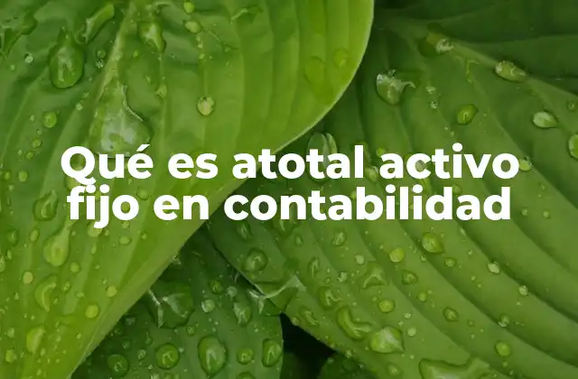 Qué es Atotal Activo Fijo en Contabilidad