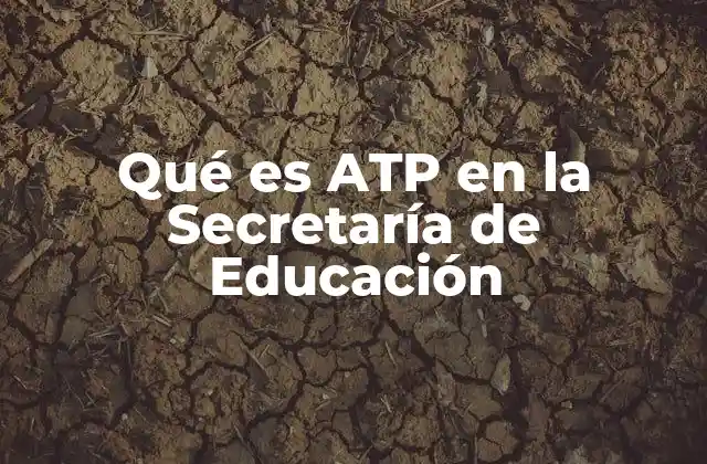 El impacto del ATP en la gestión educativa