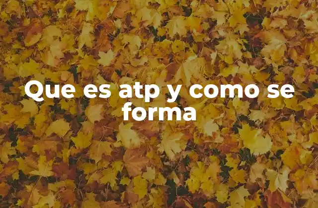 Que es Atp y como Se Forma