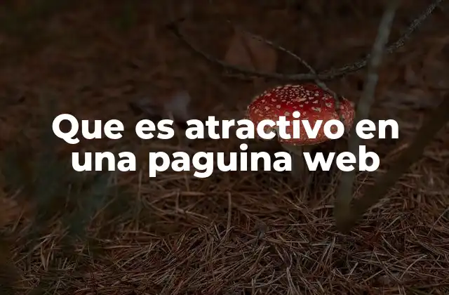 Que es Atractivo en una Paguina Web