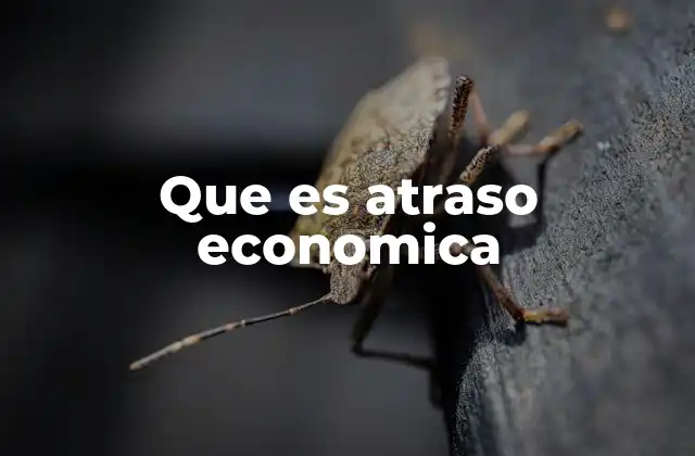 Que es Atraso Economica