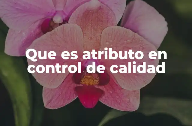 Que es Atributo en Control de Calidad