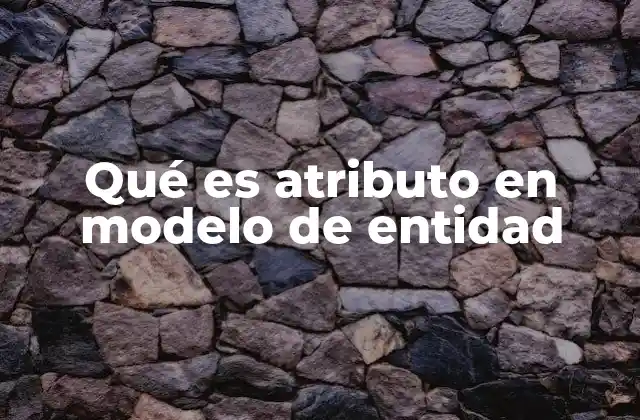 Qué es Atributo en Modelo de Entidad