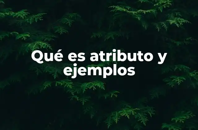 Qué es Atributo y Ejemplos