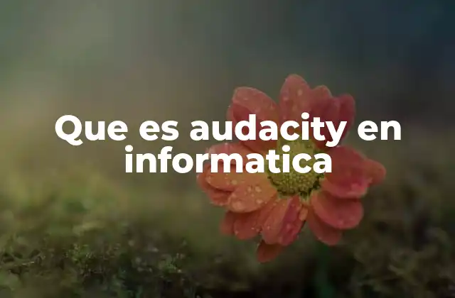 Que es Audacity en Informatica