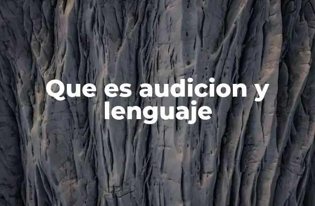 Que es Audicion y Lenguaje