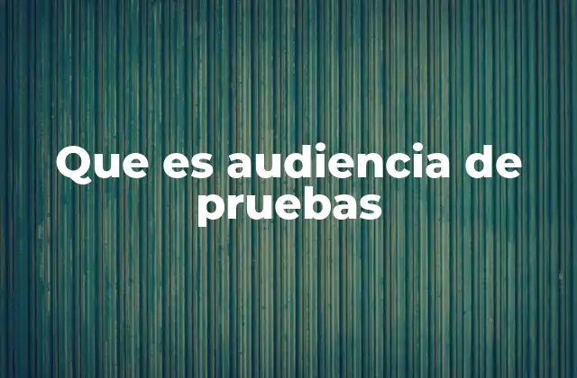Que es Audiencia de Pruebas