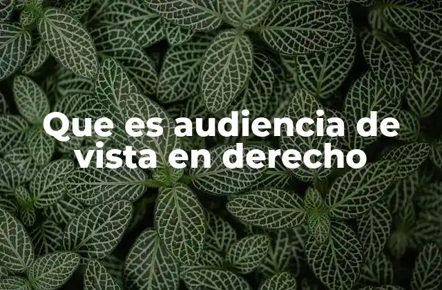 Que es Audiencia de Vista en Derecho