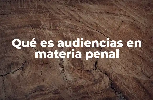 Qué es Audiencias en Materia Penal