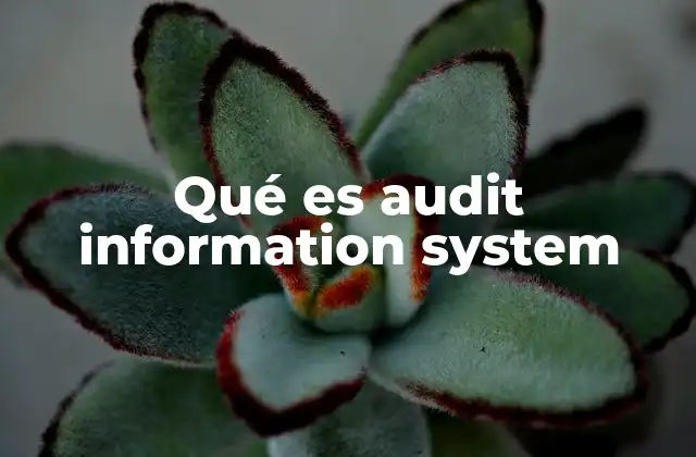 Qué es Audit Information System