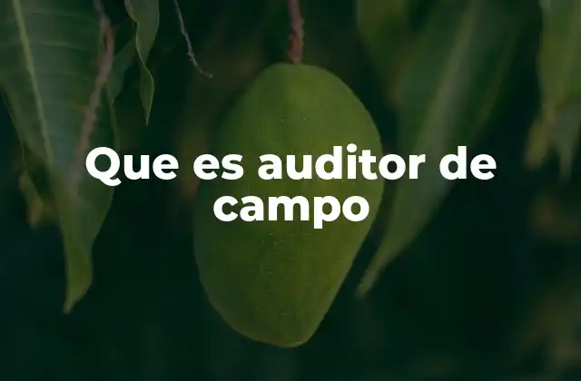 El rol del auditor de campo en la gestión de riesgos