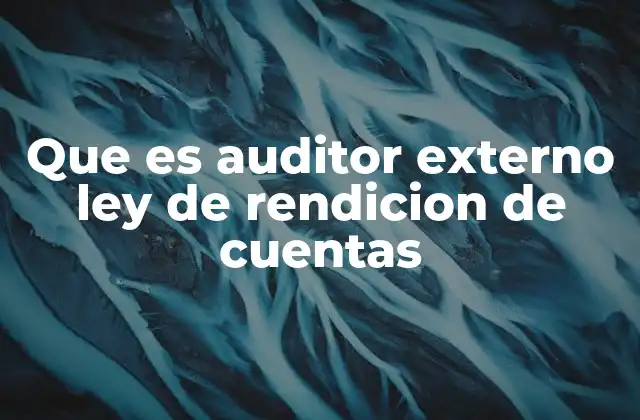 Que es Auditor Externo Ley de Rendicion de Cuentas