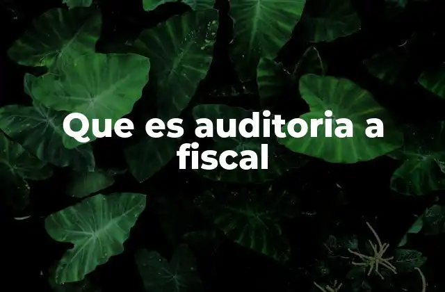 Que es Auditoria a Fiscal