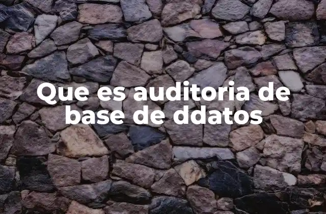 Que es Auditoria de Base de Ddatos