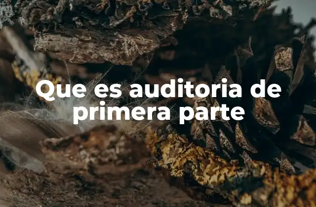 Que es Auditoria de Primera Parte