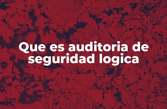 Que es Auditoria de Seguridad Logica