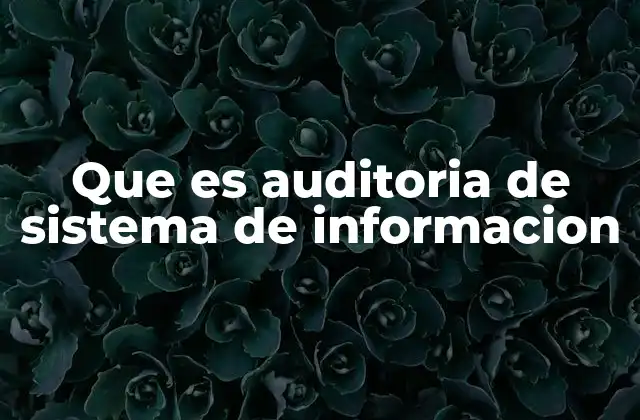 Que es Auditoria de Sistema de Informacion