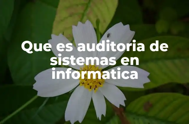 Que es Auditoria de Sistemas en Informatica