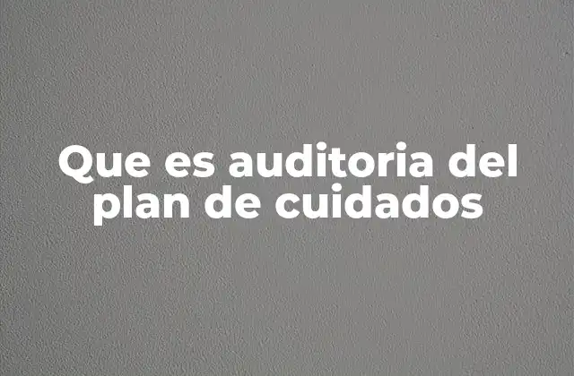 Que es Auditoria Del Plan de Cuidados
