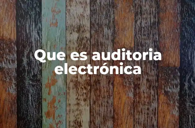 Que es Auditoria Electrónica