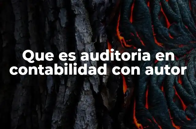 Que es Auditoria en Contabilidad con Autor