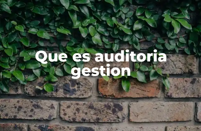 Que es Auditoria Gestion