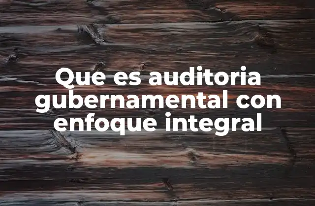 Que es Auditoria Gubernamental con Enfoque Integral