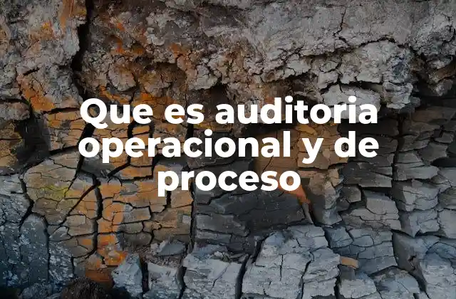 Que es Auditoria Operacional y de Proceso