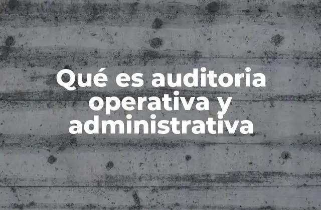 Qué es Auditoria Operativa y Administrativa
