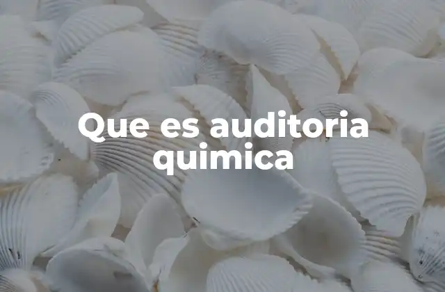 Que es Auditoria Quimica