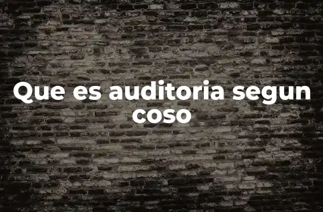 Que es Auditoria Segun Coso