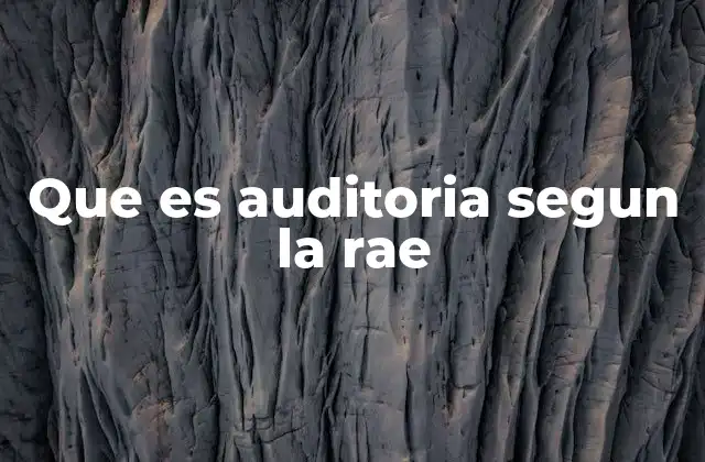 Que es Auditoria Segun la Rae 2 La importancia de la auditoría en el entorno empresarial