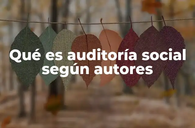 Qué es Auditoría Social según Autores