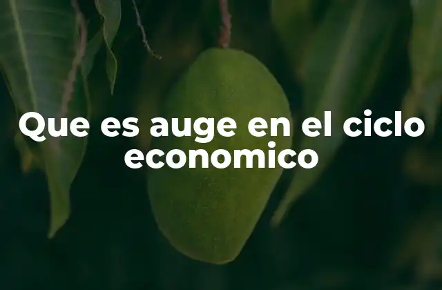 Que es Auge en el Ciclo Economico
