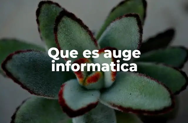 Que es Auge Informatica
