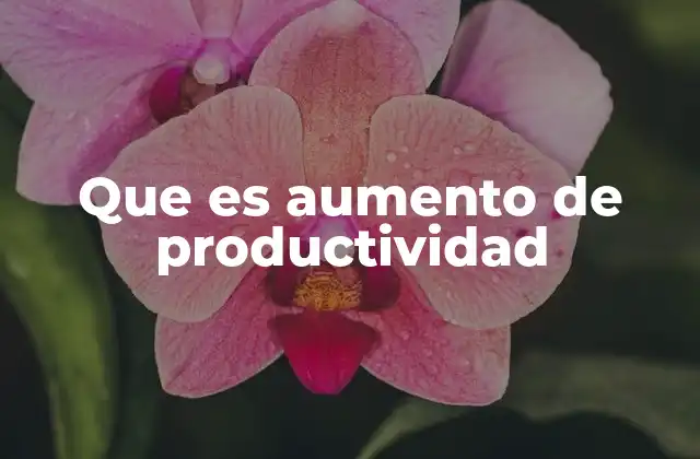 Que es Aumento de Productividad