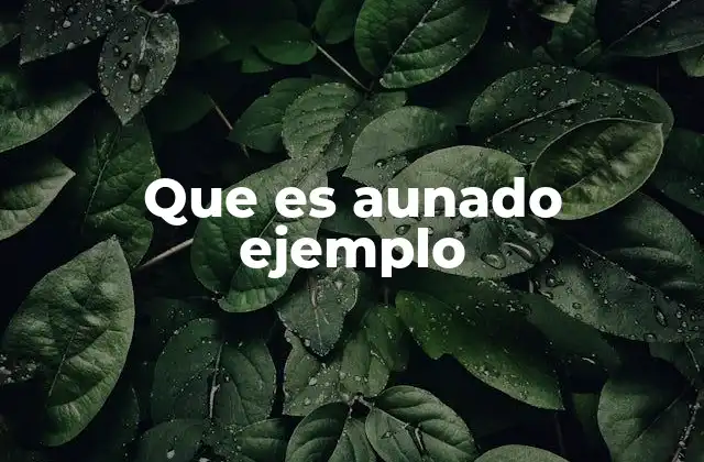 La importancia de la unión en el lenguaje