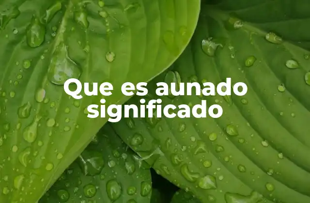 Que es Aunado Significado