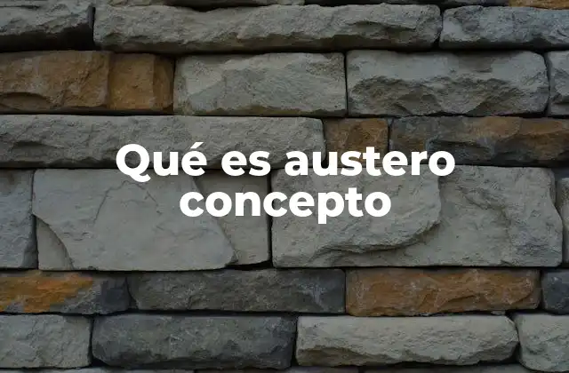 Qué es Austero Concepto