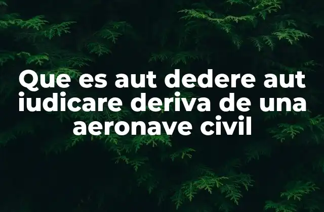 Que es Aut Dedere Aut Iudicare Deriva de una Aeronave Civil