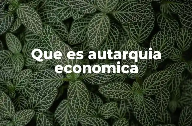 El impacto de la autarquía en el desarrollo económico nacional