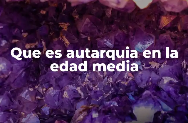 Que es Autarquia en la Edad Media
