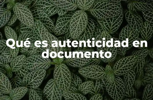 Qué es Autenticidad en Documento