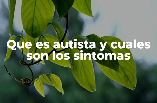 Que es Autista y Cuales Son los Sintomas