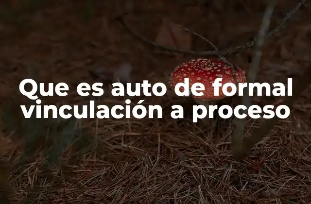 Que es Auto de Formal Vinculación a Proceso