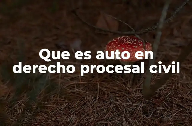 Que es Auto en Derecho Procesal Civil