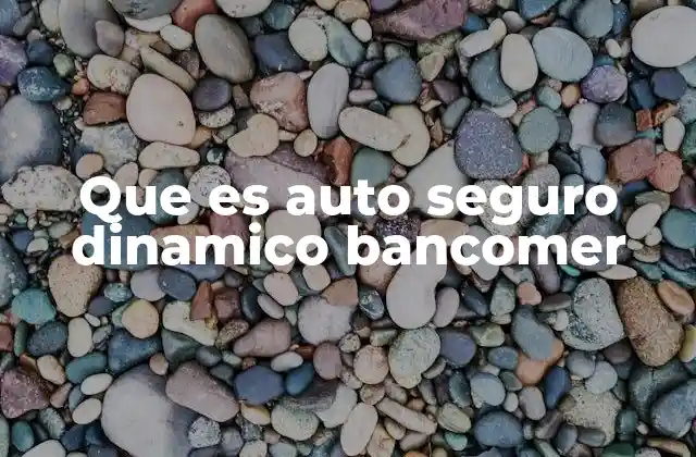 Que es Auto Seguro Dinamico Bancomer