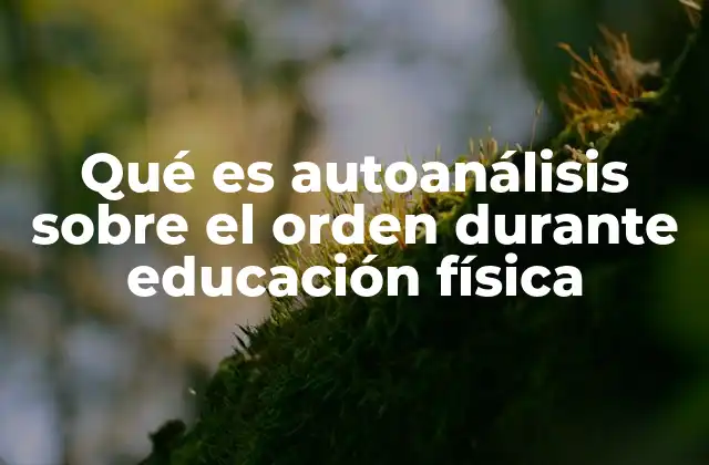 Qué es Autoanálisis sobre el Orden durante Educación Física