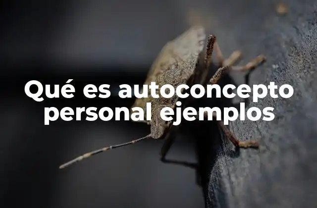 Qué es Autoconcepto Personal Ejemplos